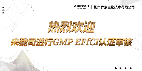 热烈欢迎 黑白底 GMP EFfci